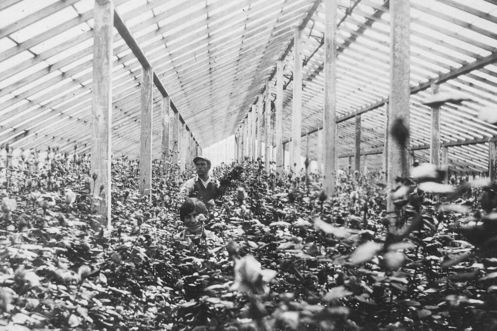 The Role of Greenhouse and LPG in Combating the Global Food Crisis 6 A black and white photo of a family inside fo a greenhouse in the 19th century