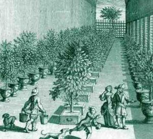 The Role of Greenhouse and LPG in Combating the Global Food Crisis 5 Cartoon depicts the inner working of a greenhouse during the renaissance period of europe.