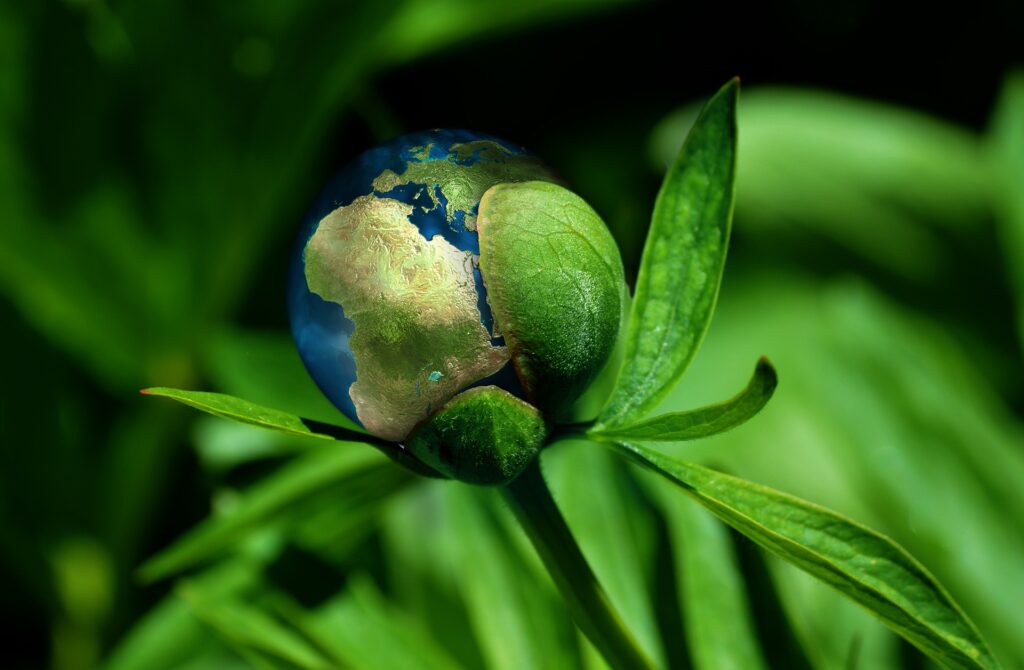 BioLPG: A Better, Cleaner, and Sustainable Energy Choice 9 ecology g0a2eb90a2 1920 1